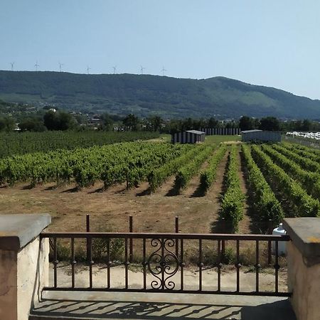 Agriturismo Il Casale Del Cavaliere SantʼAgata deʼ Goti Dış mekan fotoğraf
