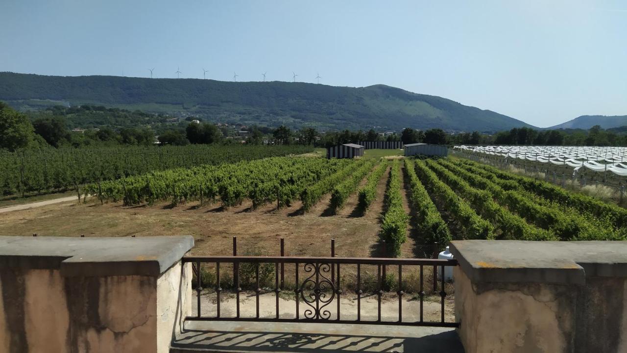 Agriturismo Il Casale Del Cavaliere SantʼAgata deʼ Goti Dış mekan fotoğraf