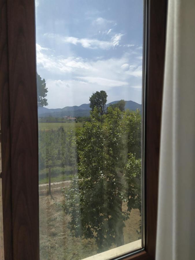 Agriturismo Il Casale Del Cavaliere SantʼAgata deʼ Goti Dış mekan fotoğraf